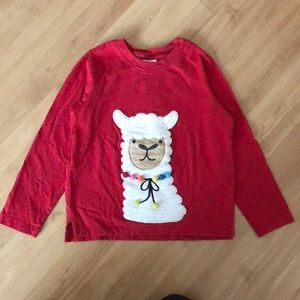 Hanna Andersson long sleeve top.